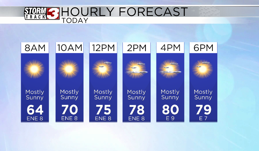 Hourly Forecast